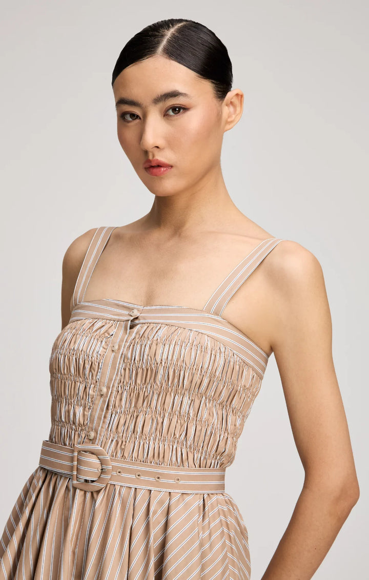 Clara Stripe Zoie Dress