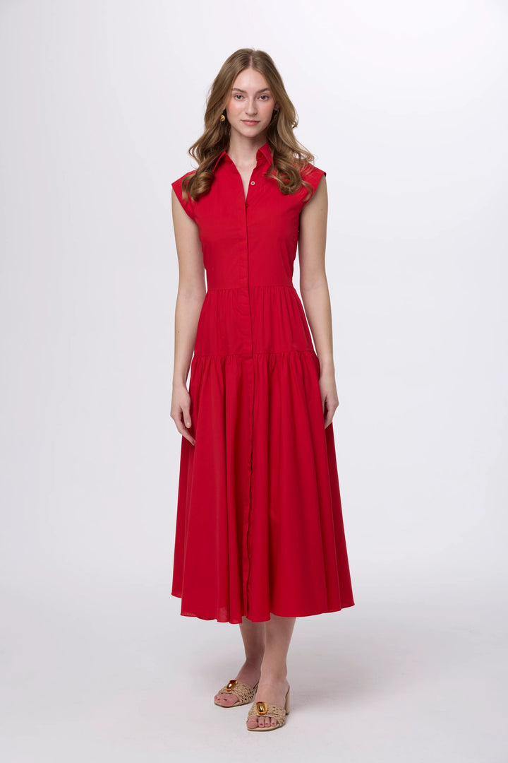 Sasha Dress
